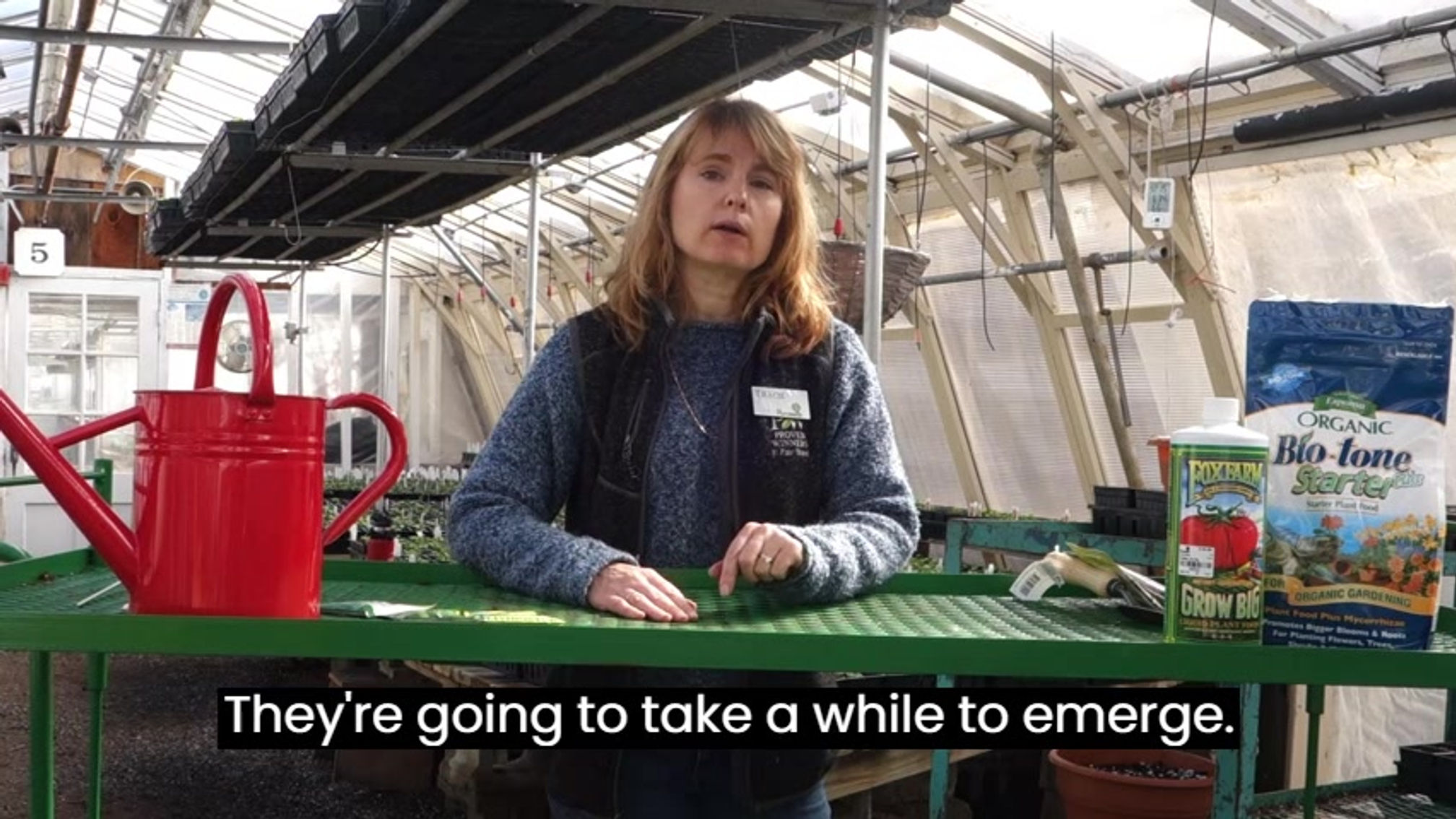 Sowing & Growing Peas